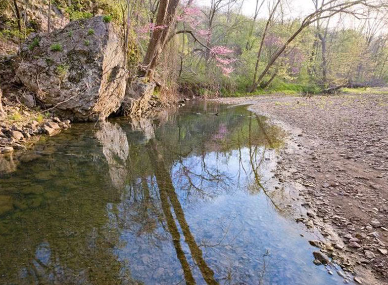 nature 2